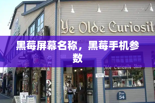 黑莓屏幕名称，黑莓手机参数