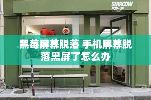 黑莓屏幕脱落 手机屏幕脱落黑屏了怎么办