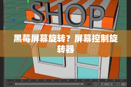 黑莓屏幕旋转？屏幕控制旋转器-第1张图片-星选测评