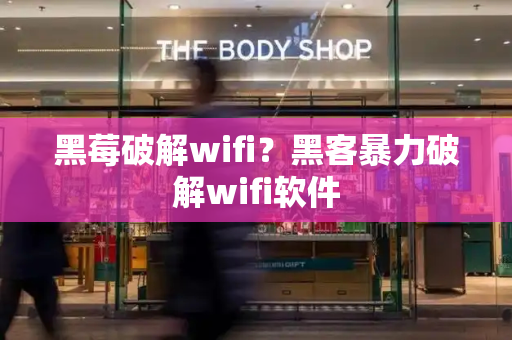 黑莓破解wifi？黑客暴力破解wifi软件-第1张图片-星选测评