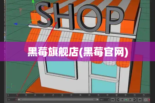 黑莓旗舰店(黑莓官网)-第1张图片-星选测评