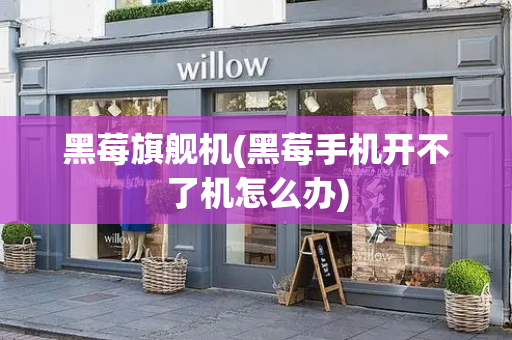 黑莓旗舰机(黑莓手机开不了机怎么办)