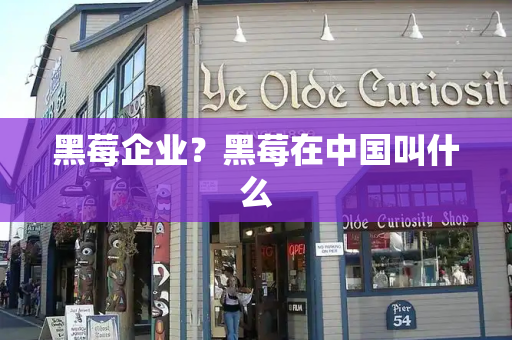 黑莓企业？黑莓在中国叫什么