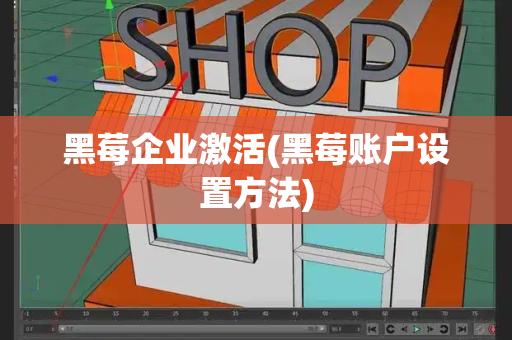 黑莓企业激活(黑莓账户设置方法)