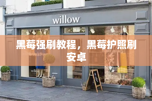 黑莓强刷教程，黑莓护照刷安卓
