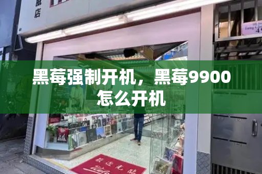 黑莓强制开机，黑莓9900怎么开机-第1张图片-星选测评