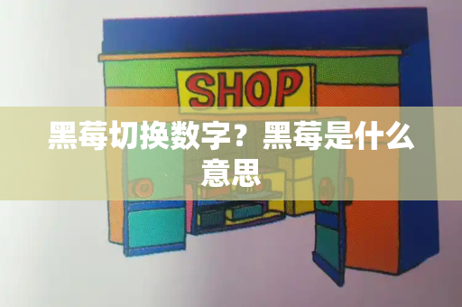 黑莓切换数字？黑莓是什么意思