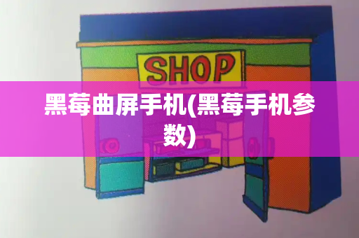 黑莓曲屏手机(黑莓手机参数)-第1张图片-星选测评