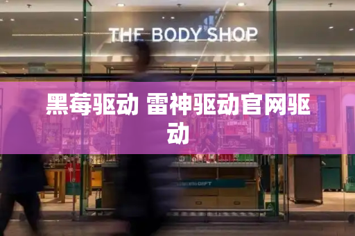 黑莓驱动 雷神驱动官网驱动-第1张图片-星选测评