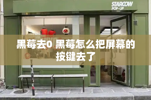 黑莓去0 黑莓怎么把屏幕的按键去了