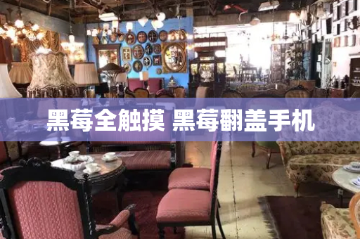 黑莓全触摸 黑莓翻盖手机