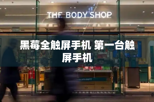 黑莓全触屏手机 第一台触屏手机-第1张图片-星选测评