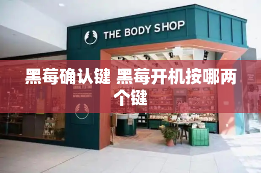 黑莓确认键 黑莓开机按哪两个键-第1张图片-星选测评