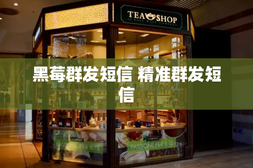 黑莓群发短信 精准群发短信