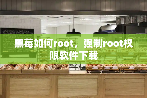 黑莓如何root，强制root权限软件下载-第1张图片-星选测评