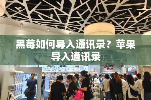 黑莓如何导入通讯录？苹果导入通讯录-第1张图片-星选测评