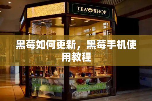 黑莓如何更新，黑莓手机使用教程