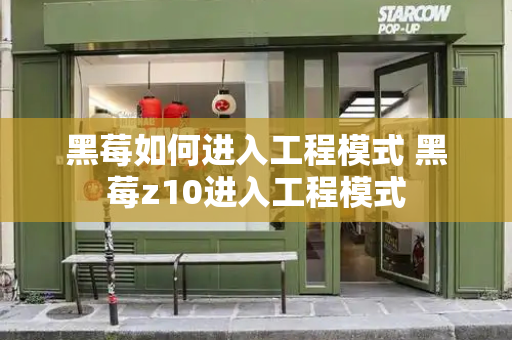 黑莓如何进入工程模式 黑莓z10进入工程模式-第1张图片-星选测评