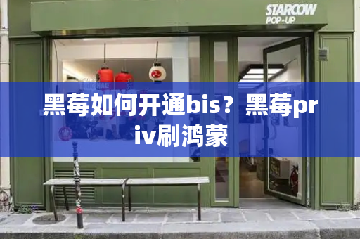 黑莓如何开通bis？黑莓priv刷鸿蒙-第1张图片-星选测评