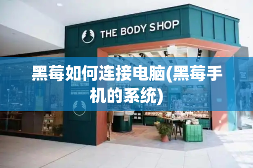 黑莓如何连接电脑(黑莓手机的系统)-第1张图片-星选测评