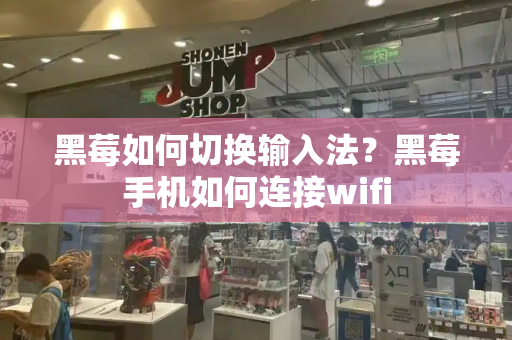 黑莓如何切换输入法？黑莓手机如何连接wifi-第1张图片-星选测评