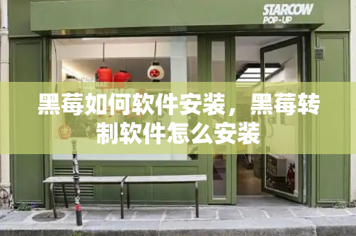 黑莓如何软件安装，黑莓转制软件怎么安装