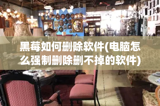 黑莓如何删除软件(电脑怎么强制删除删不掉的软件)