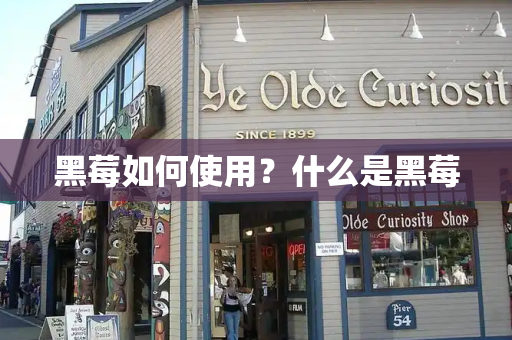 黑莓如何使用？什么是黑莓