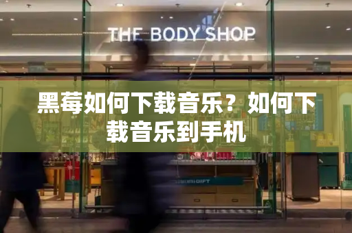 黑莓如何下载音乐？如何下载音乐到手机-第1张图片-星选测评