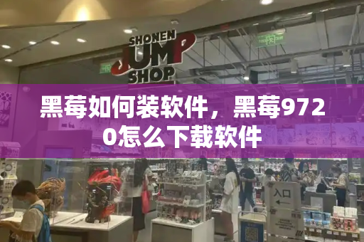 黑莓如何装软件，黑莓9720怎么下载软件-第1张图片-星选测评