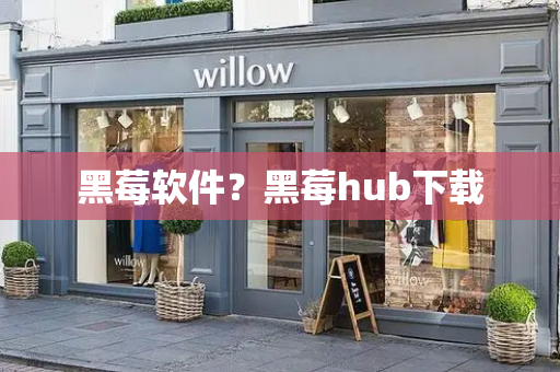 黑莓软件？黑莓hub下载-第1张图片-星选测评