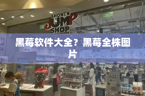 黑莓软件大全？黑莓全株图片