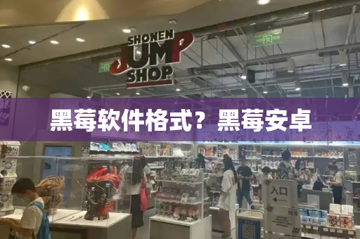 黑莓软件格式？黑莓安卓