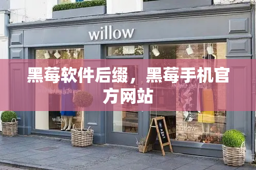 黑莓软件后缀，黑莓手机官方网站-第1张图片-星选测评