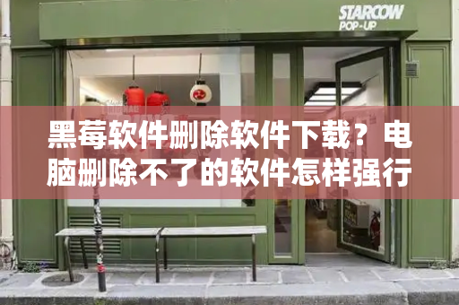 黑莓软件删除软件下载？电脑删除不了的软件怎样强行删除