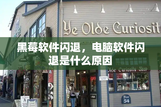 黑莓软件闪退，电脑软件闪退是什么原因
