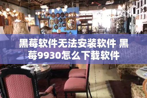 黑莓软件无法安装软件 黑莓9930怎么下载软件-第1张图片-星选测评