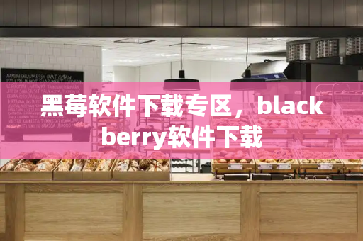 黑莓软件下载专区，blackberry软件下载