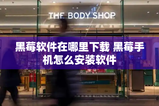 黑莓软件在哪里下载 黑莓手机怎么安装软件