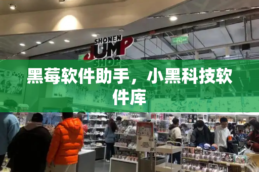 黑莓软件助手，小黑科技软件库