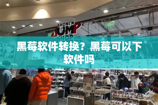 黑莓软件转换？黑莓可以下软件吗