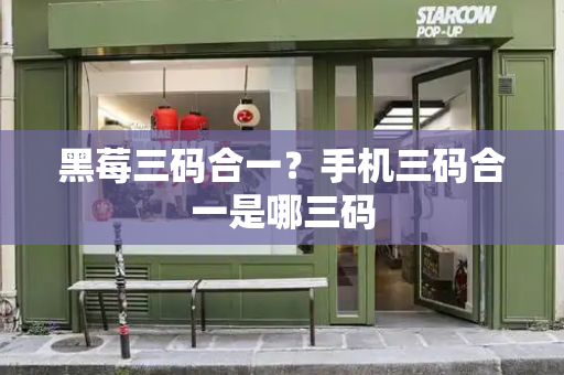 黑莓三码合一？手机三码合一是哪三码-第1张图片-星选测评