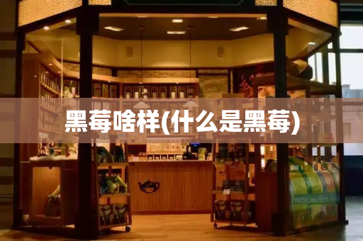 黑莓啥样(什么是黑莓)