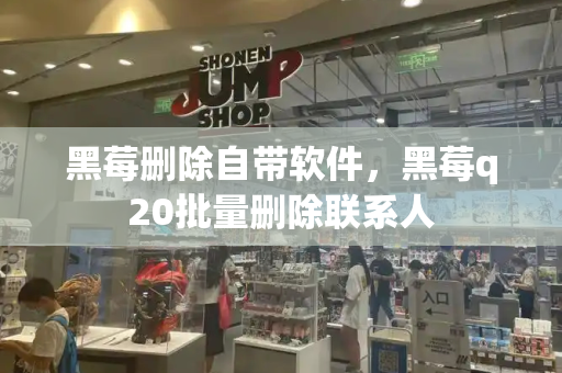 黑莓删除自带软件，黑莓q20批量删除联系人