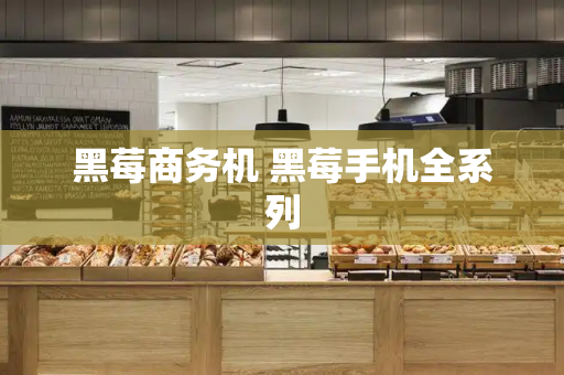 黑莓商务机 黑莓手机全系列