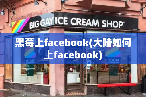 黑莓上facebook(大陆如何上facebook)-第1张图片-星选测评