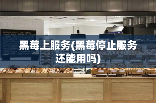 黑莓上服务(黑莓停止服务还能用吗)