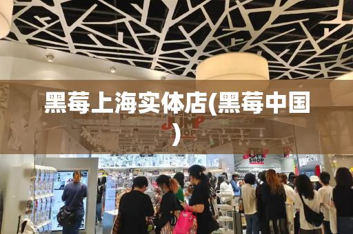 黑莓上海实体店(黑莓中国)