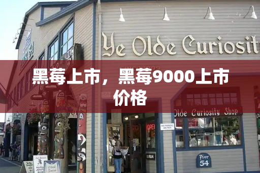 黑莓上市，黑莓9000上市价格-第1张图片-星选测评