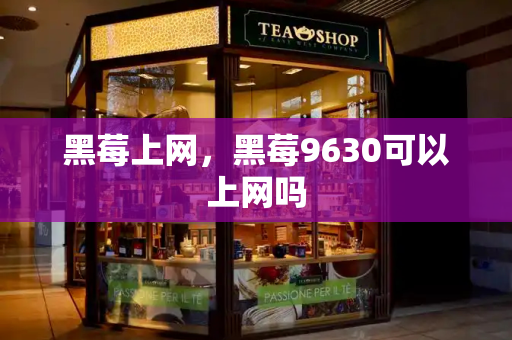 黑莓上网，黑莓9630可以上网吗